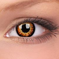 fx contact lenses golden twiglight