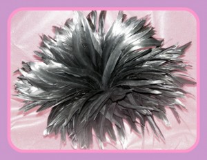 glossy black feathers