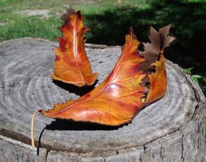 Leaf Shoes