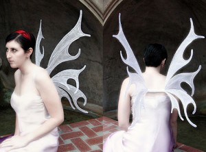 Faeries closet: fairy wings to rise and fly ···